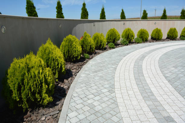 Best Driveway Paving Contractor  in Wildewood, MD